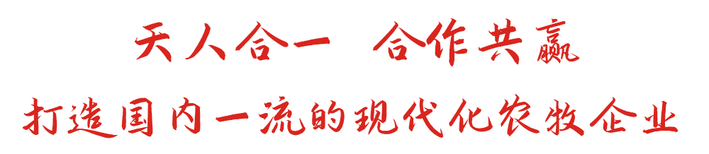 尊龙凯时人生就是博中国地区
