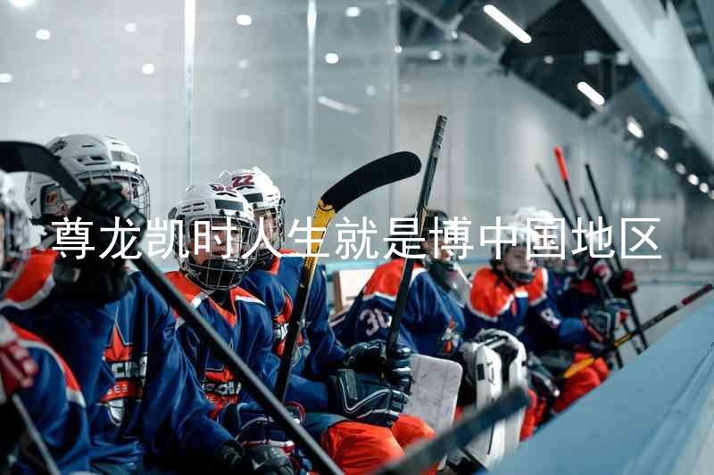 尊龙凯时人生就是博中国地区