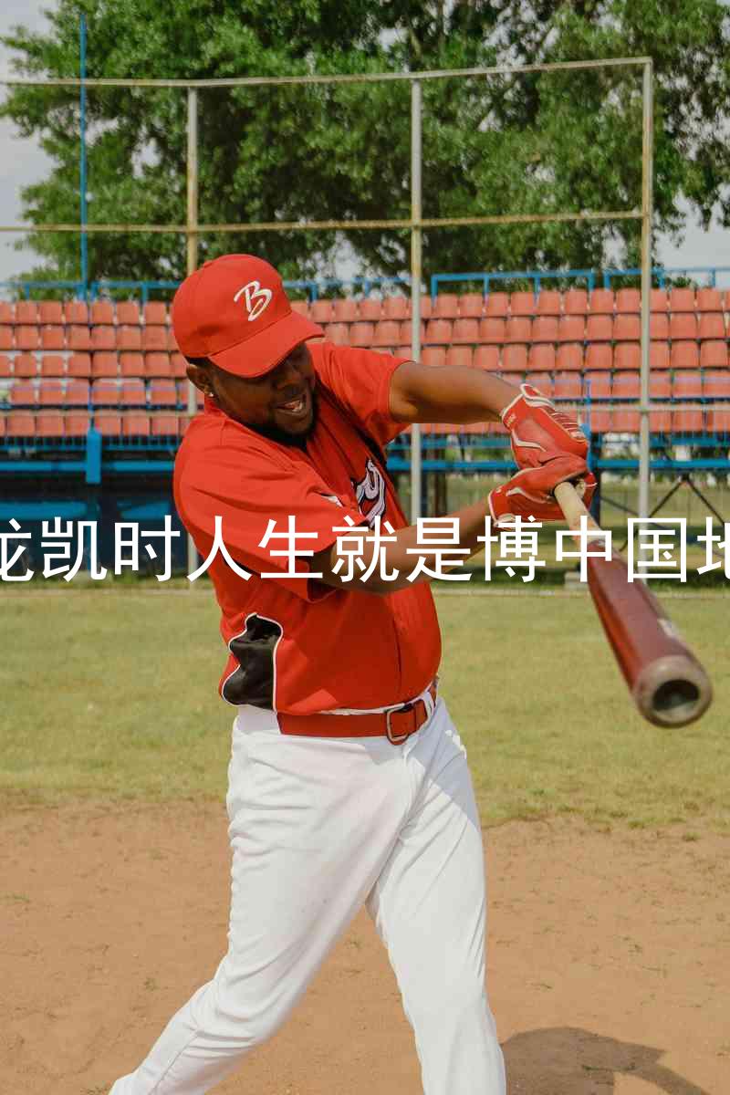 尊龙凯时人生就是博中国地区