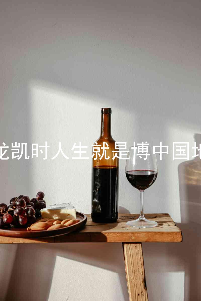 尊龙凯时人生就是博中国地区