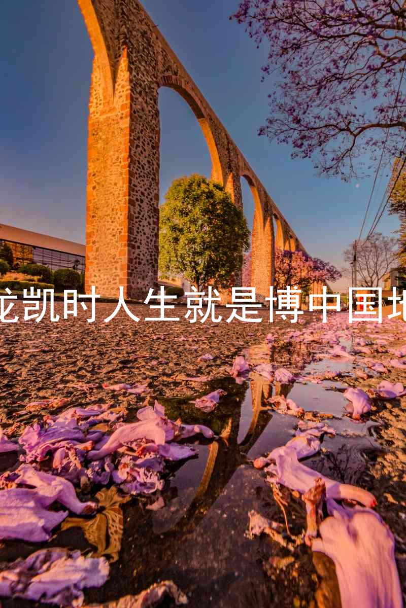尊龙凯时人生就是博中国地区