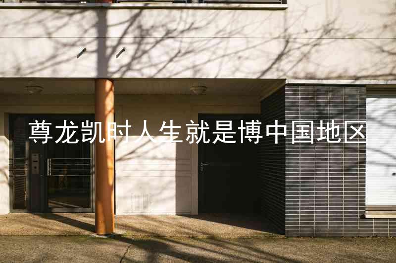 尊龙凯时人生就是博中国地区