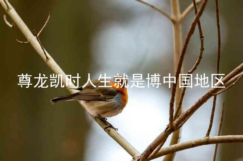 尊龙凯时人生就是博中国地区