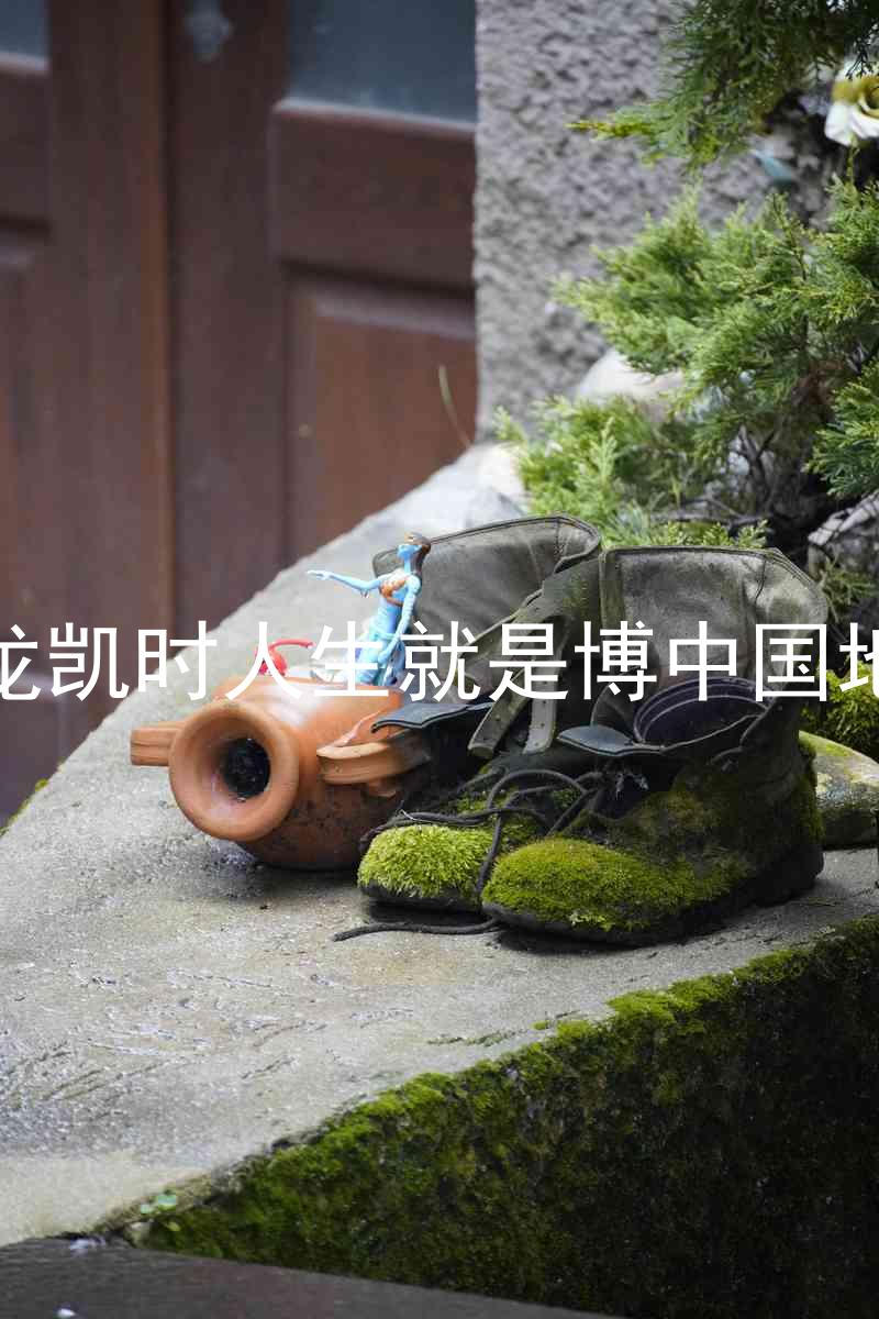 尊龙凯时人生就是博中国地区