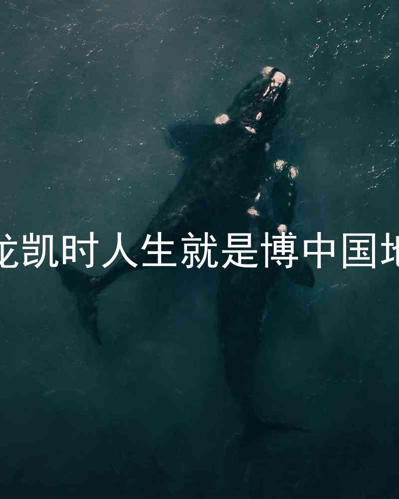尊龙凯时人生就是博中国地区